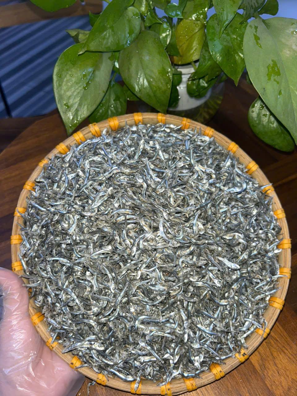 Cá Cơm Nồm