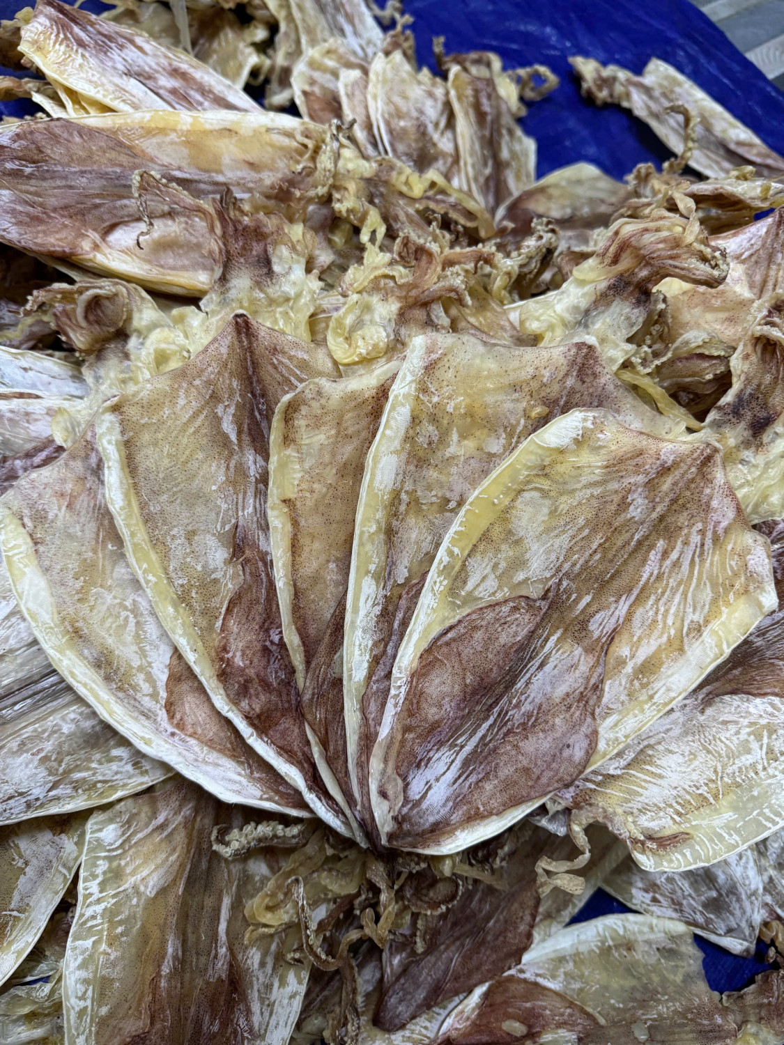 Mực Khô Câu Size 18 - 20 con/kg