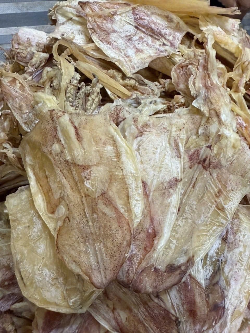 Mực Khô Câu Size 5-6 con/kg