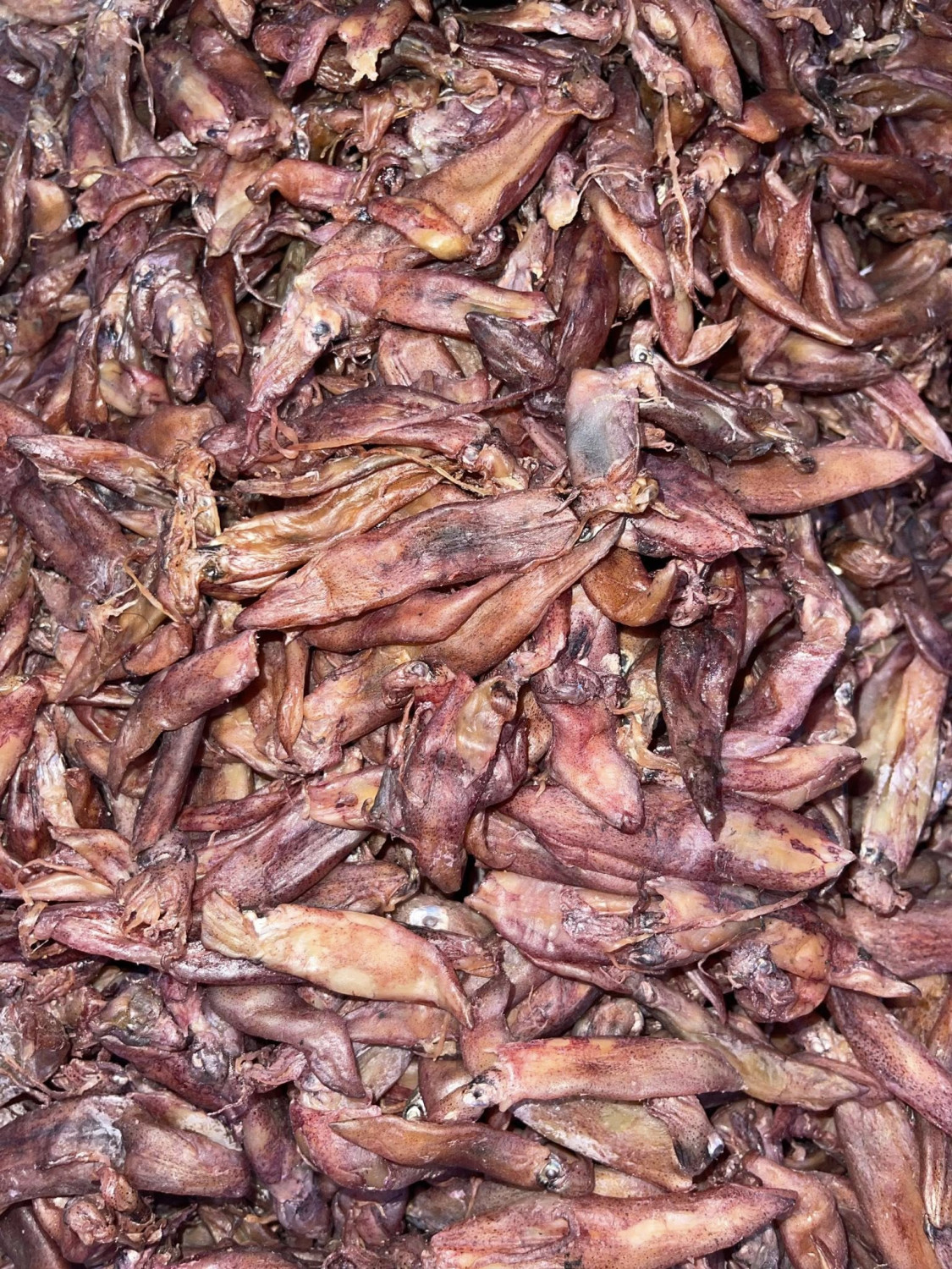 Mực Muối Lạt Size Nhỏ 1KG